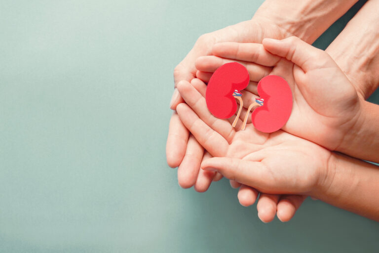 what is kidney transplant