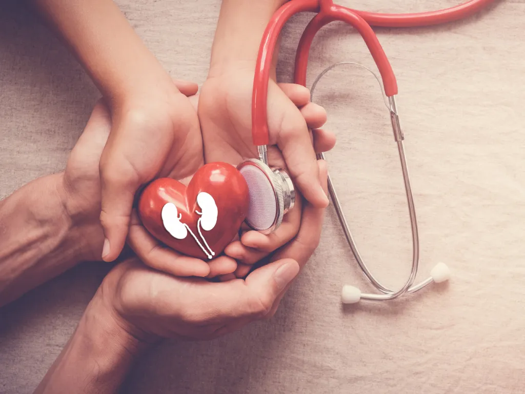 Heart Health & Kidney Health – Why the two are connected
