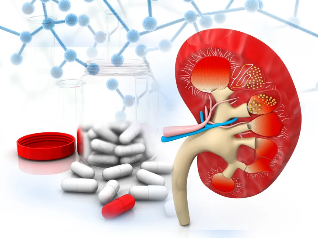 The Dangers of Overusing Painkillers – NSAIDs and Kidney Damage