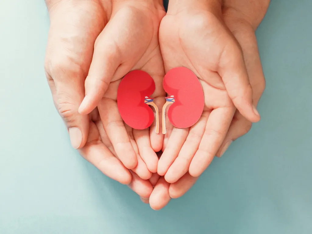 Top Signs Your Kidneys Need Extra Care
