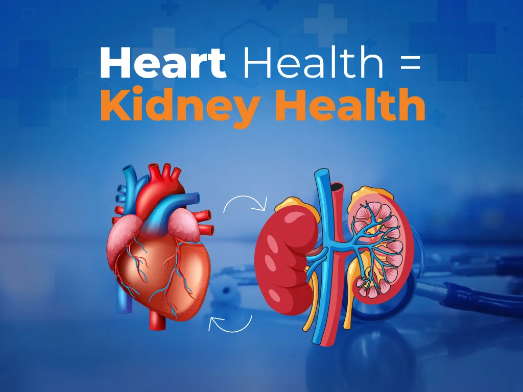 How Heart Health Impacts Kidney Health
