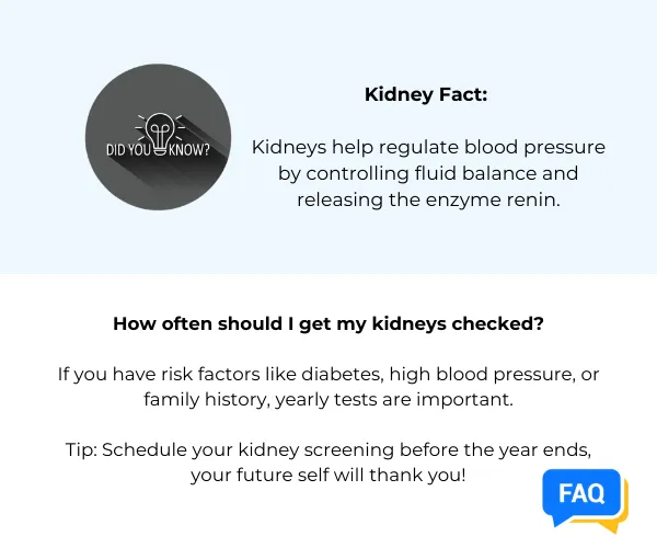 Kidney Fact