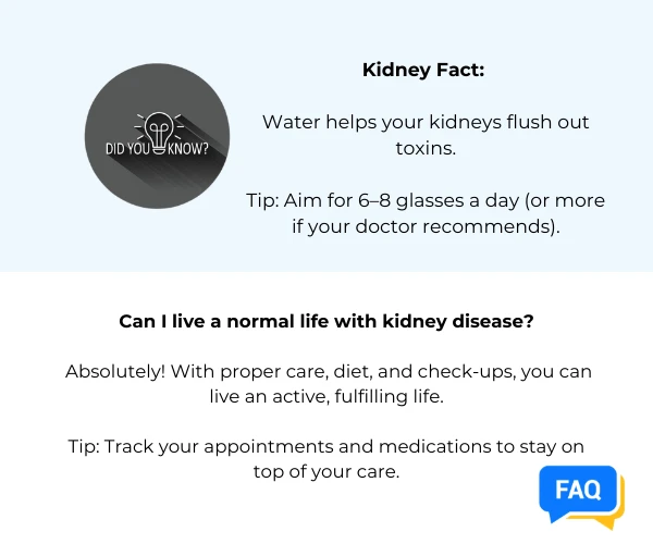 Kidney Fact