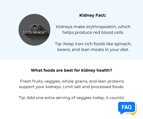 Kidney Fact - April